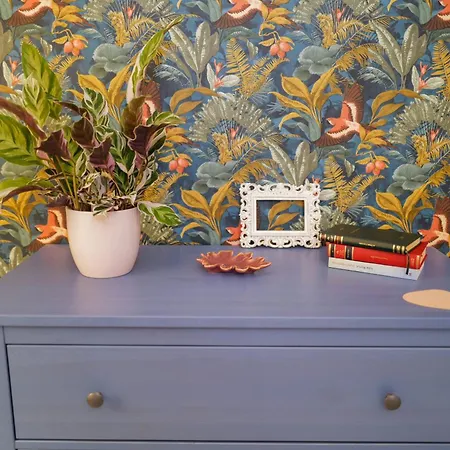 Cochet La Mare 2 Si Terasa Constanţa